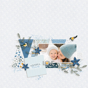 Winterful Moments