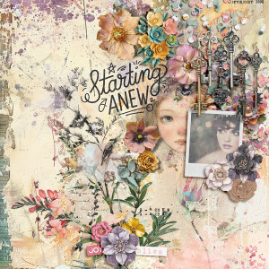 Starting anew