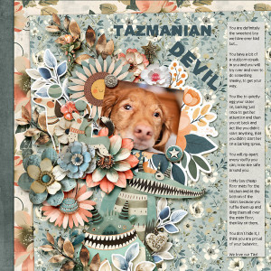 Tazmanian Devil