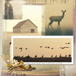 NBK-Design_January_Challenge_0120_Mask-as-background