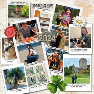 2013 Day 19 Year Highlights