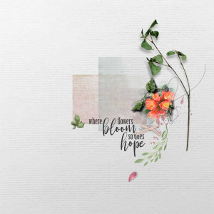 Bloom
