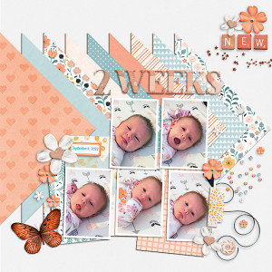 09-08-2022 - 2 Weeks