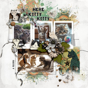 FF_jan24_NBK_LG_RJ_Here Kitty Kitty