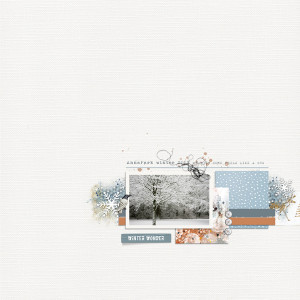 WinterWonder (Tiny Elements)