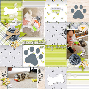 Pawprints on my Heart