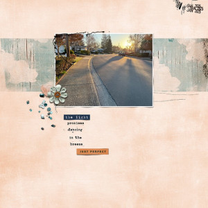 012025_TMM-19Light