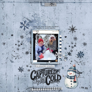 Captured By The Cold