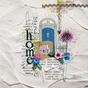 SOSN_feb5_NBK_Home