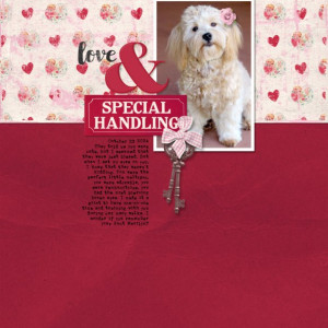AWA_February_Challenge_Love
