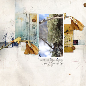 Zinzilah_let It Go-lichen