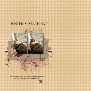 Winter Sunbathing