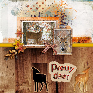 Deer