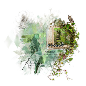 forest