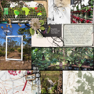 Naples-Botanical-Garden-Pg-1