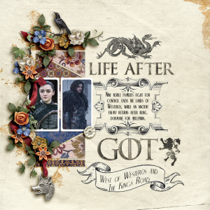 SOSN_feb19_AWA_AD_Life After GOT