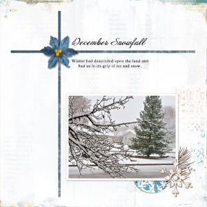 December Snowfall
