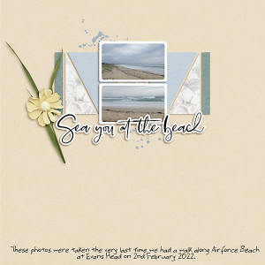 LOD_AnitaDesigns_Airforce Beach