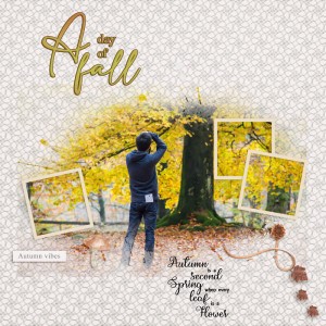A Day of Fall