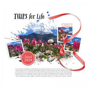 240324_tulips