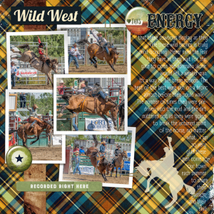Wild Broncs