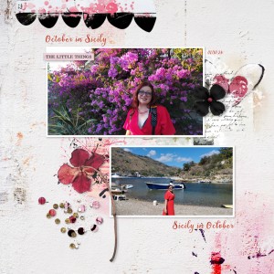 241001_OP Red