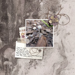 LOD_A Whimsical Adventure_Fungi in the gardnen