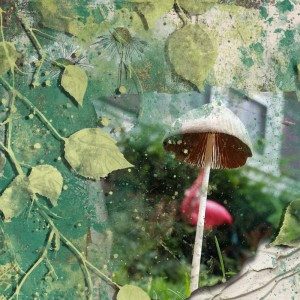 Whimsical Mushroom