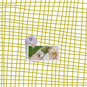 LOD-2025-Grace-In-Color