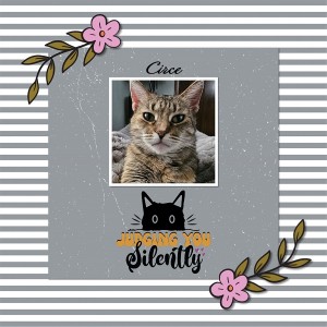 Circe - Judging You Silently