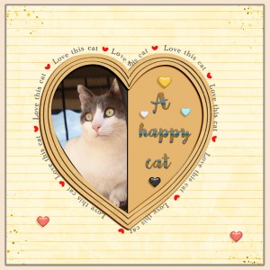 Happy Cat