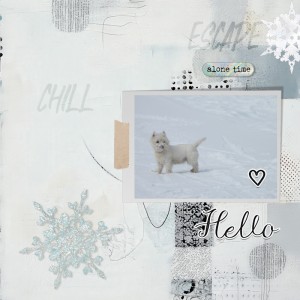 250301_Westie