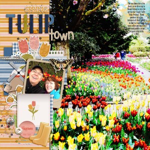 2014-Tulip-Town