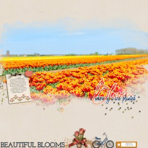 25-03_ninigoesdigi_AYIB_Tulip