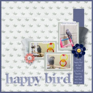 Happy Bird