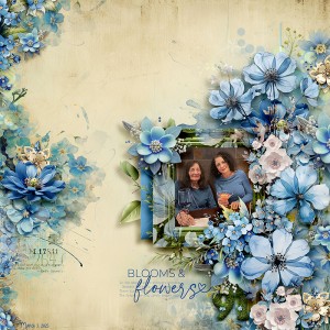 Blooms & Flowers