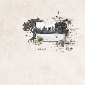 Wildwood Tales