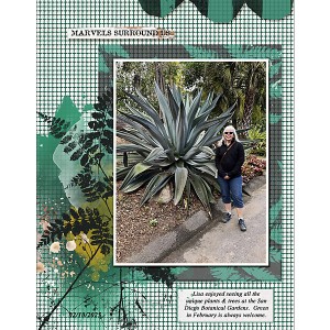 Flowersgal_felices_SanDiegoGardens_01_sq_web