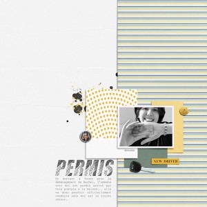 20240628-Permis