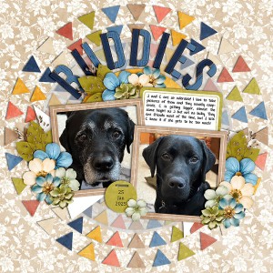 Buddies