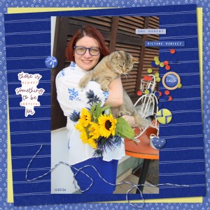 240711_PipOP