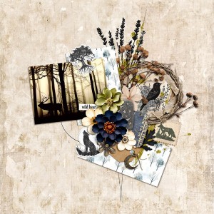WILD HEART