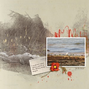 LOD_LiLi Wee_Solitary Seagull