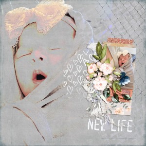 New-Life