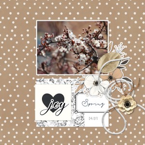 250304_spring