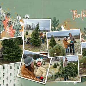Cutting Down the Tree