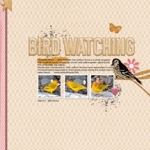 Birdwatching