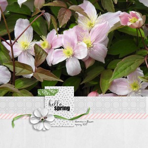 HELLO SPRING