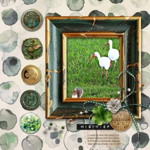 TLP_2025-03_March_Slow-Scrap_0317_web