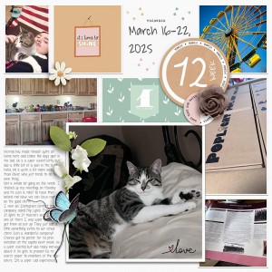 2025 | Week-12